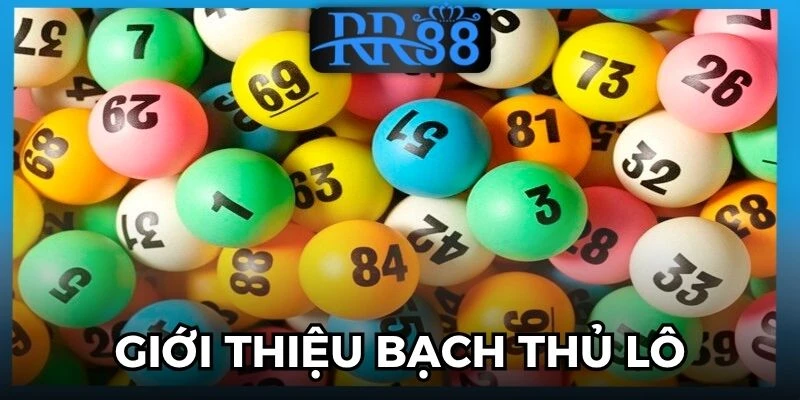 bạch thủ lô
