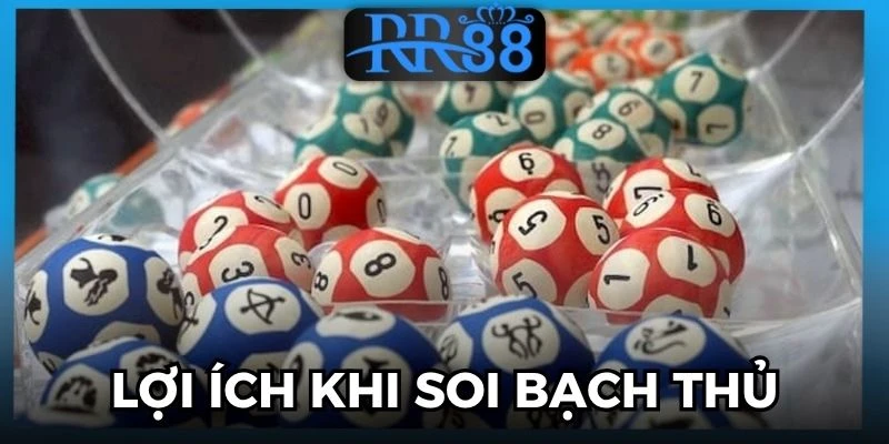 bạch thủ lô